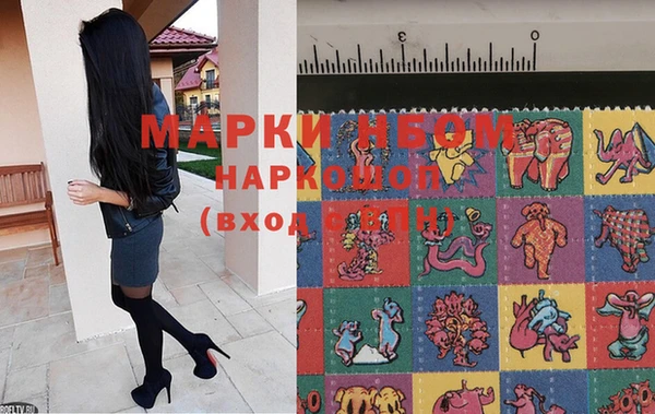 СК Саяногорск